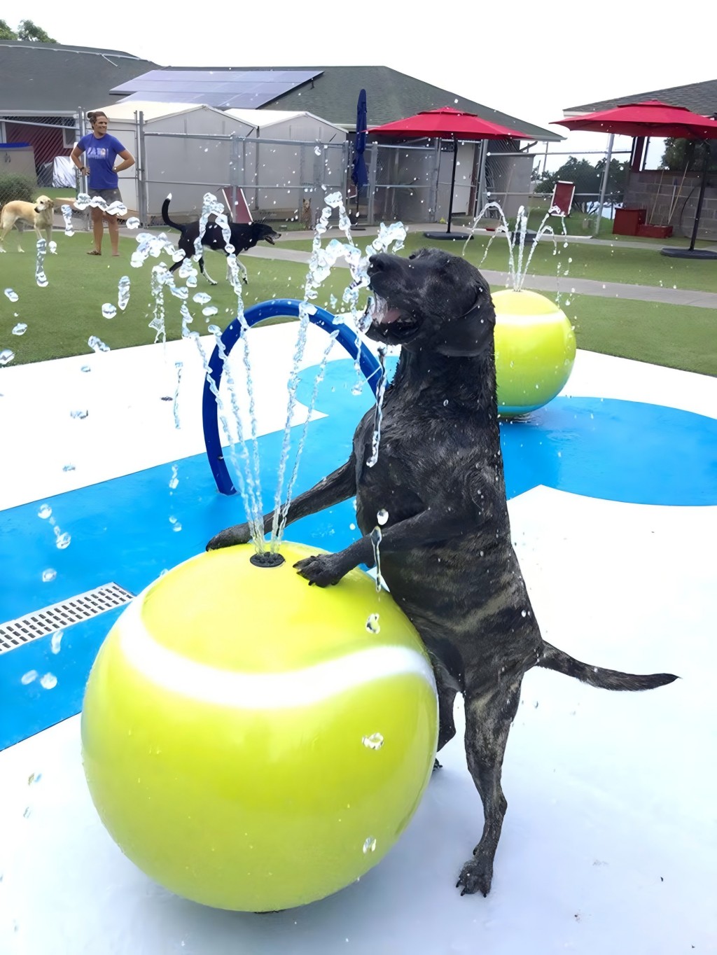 Children Aqua Park Decoration