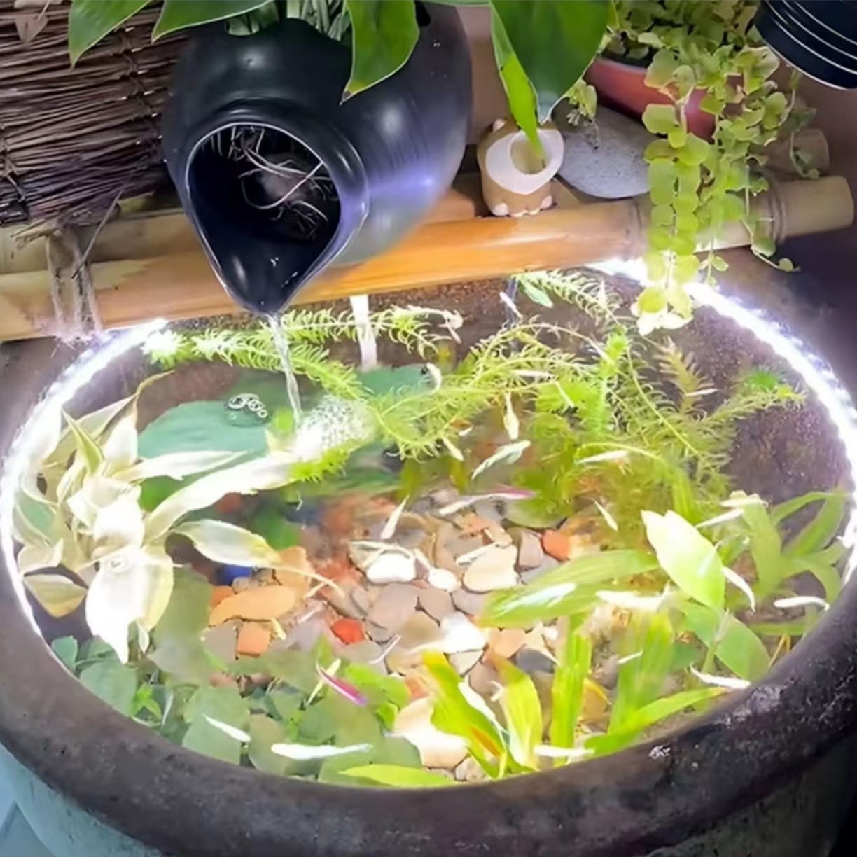 COB Laagspanning Transparante Encapsulatie Waterdichte Lichtstrip detail (1)czy