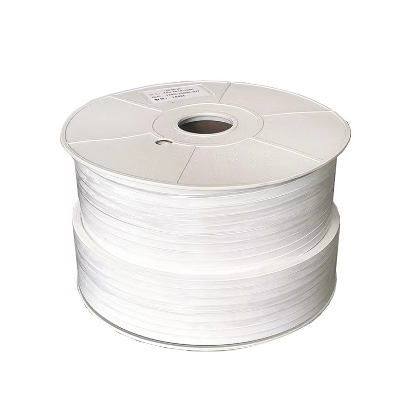 10*10 Low Voltage One-Piece Molded Silicone Light Strip