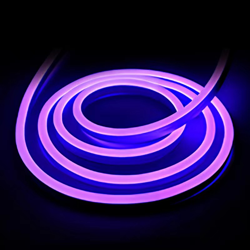 612 Zijwaarts uitstralende laagspannings neonlichtstrip (5).jpg