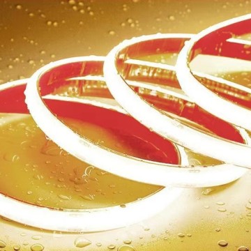 COB Low-Voltage Transparent Encapsulation Waterproof Light Strip