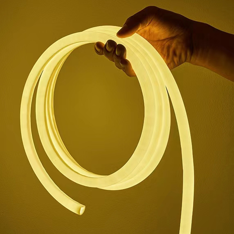 Gburugburu-16-360-°-Luminous-Low-Voltaji-Silicone-Light-Strip4.jpg