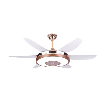 Six-Leaf Fan Fan Lamp New Nordic Ceiling Fan Lamp Home Living Room Dining Room Large Wind Commercial Intelligent Control