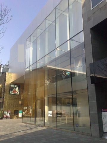 Steel Truss Point Supported Spider Glass Curtain Wall System