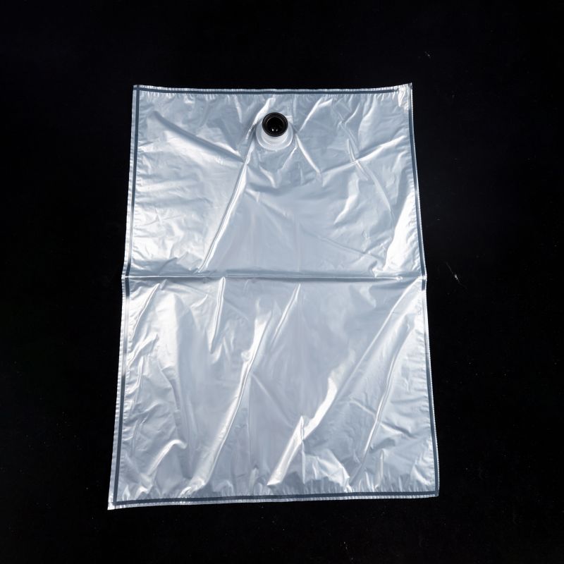 Custom Transparent Plastic NYPE+PE BIB Packaging Bag In Box With Spout for Juice Edible Oil Liquid Coffee Soda (5)