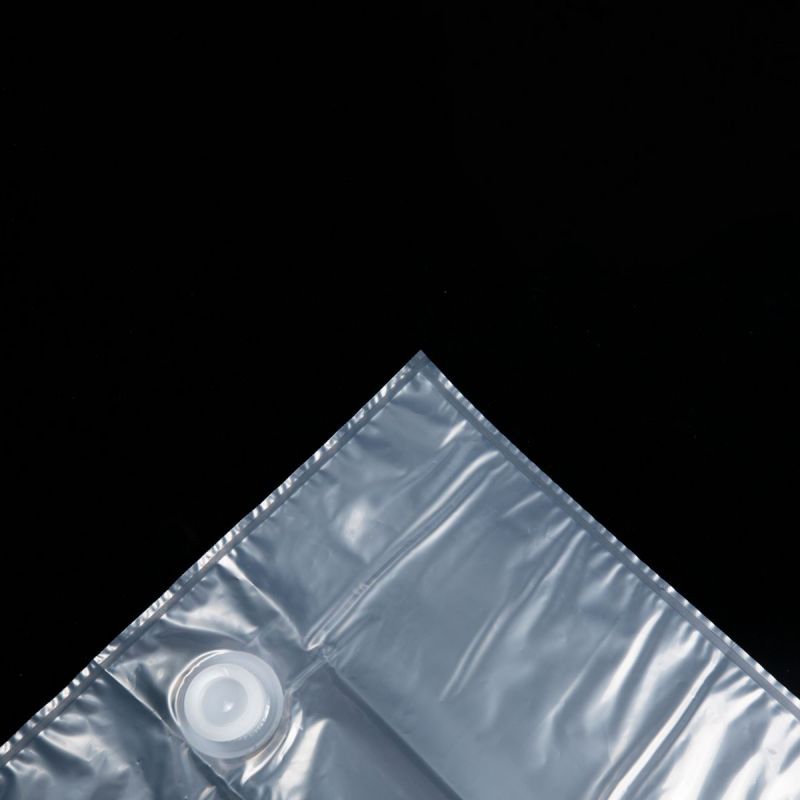 NYPE+PE BIB Packaging Bag with Spout - Ideal for Juice, Edible Oil, Liquid Coffee (9)