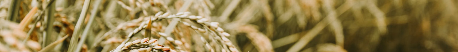 blog list banner