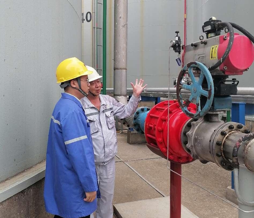 ATEX certified Detonation Flame arrester( 8840-IIB3)
