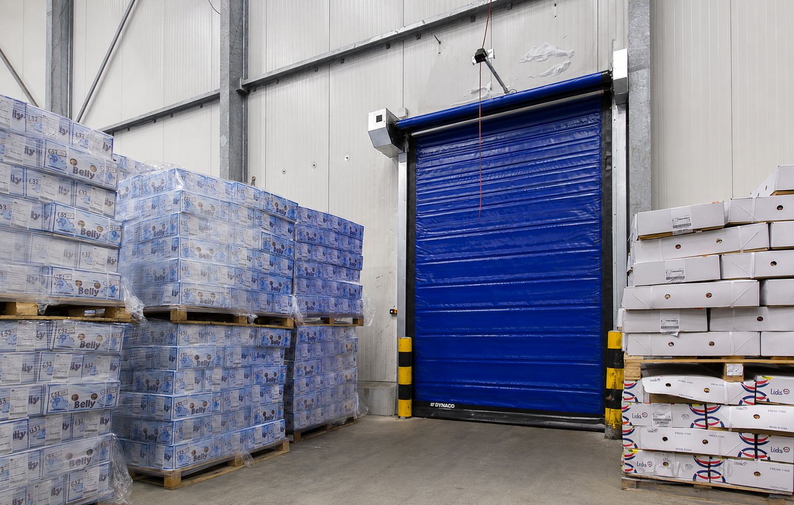 Victory Door Industry Rapid Cold Storage Doors.png