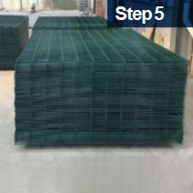 step_10mp2