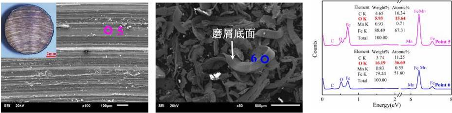 Oxidation behavior of rails du2