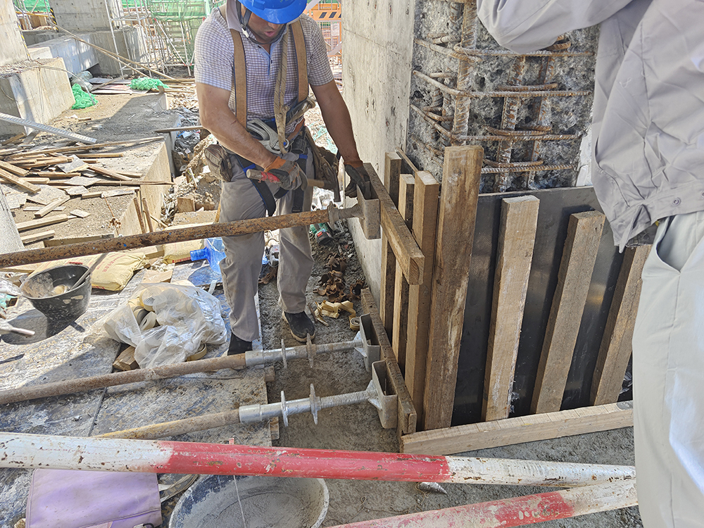 Scaffolding Modelbca