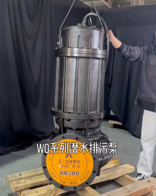 GNWQ/WQK切割排污泵-product
