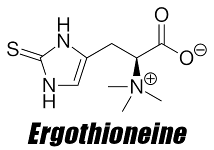 Ergothioneine 1go5