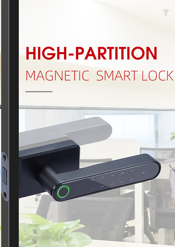 High quality glass smart lock (1)