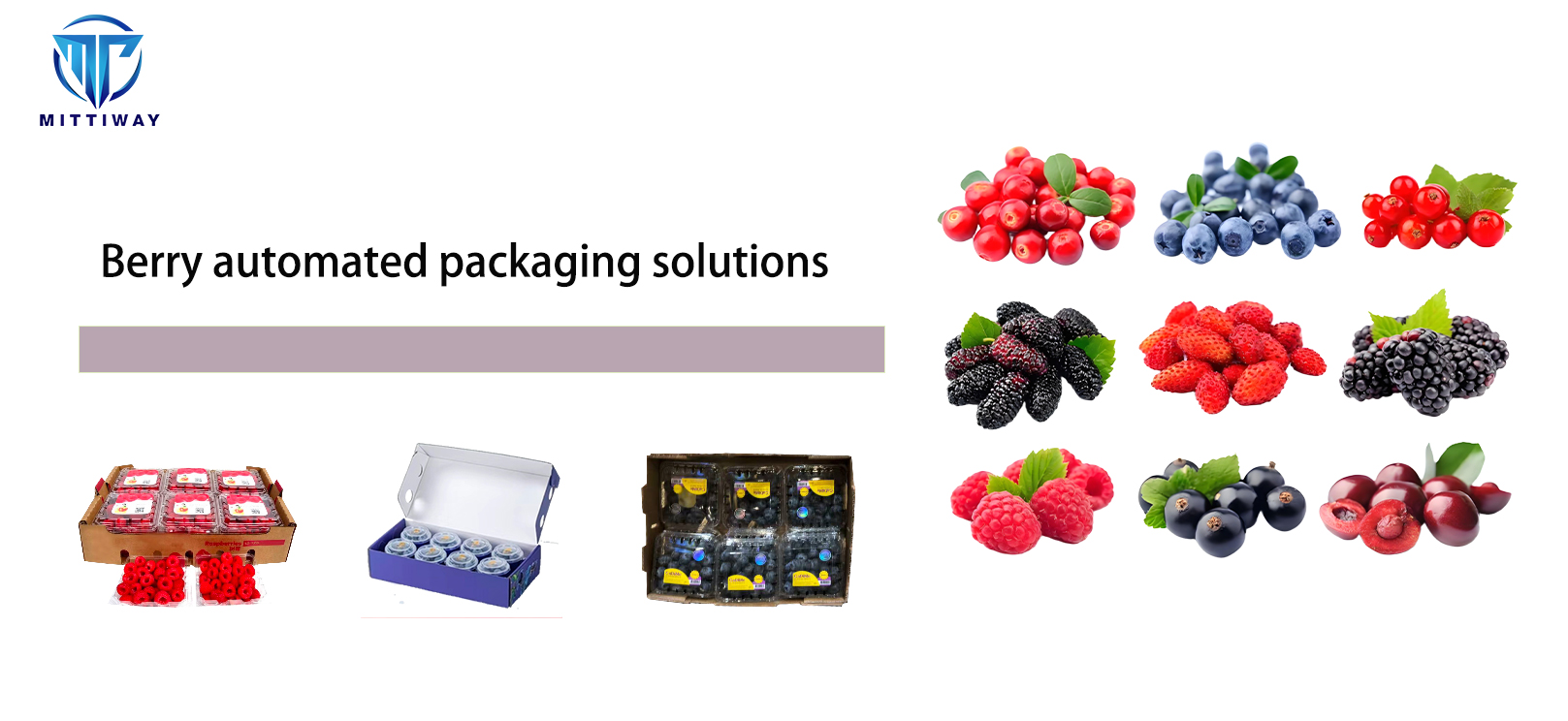 Berry automated packaging solutions