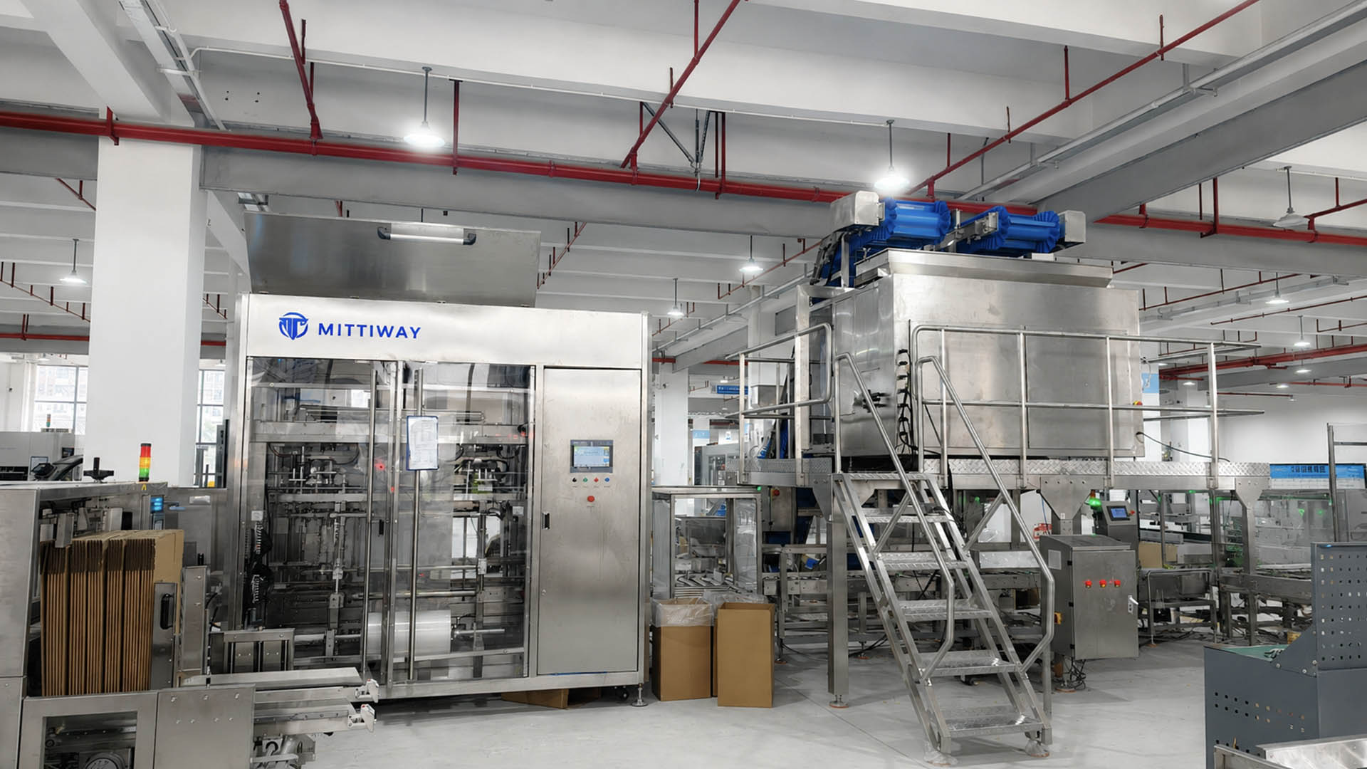Cashew Packaging Line Solution