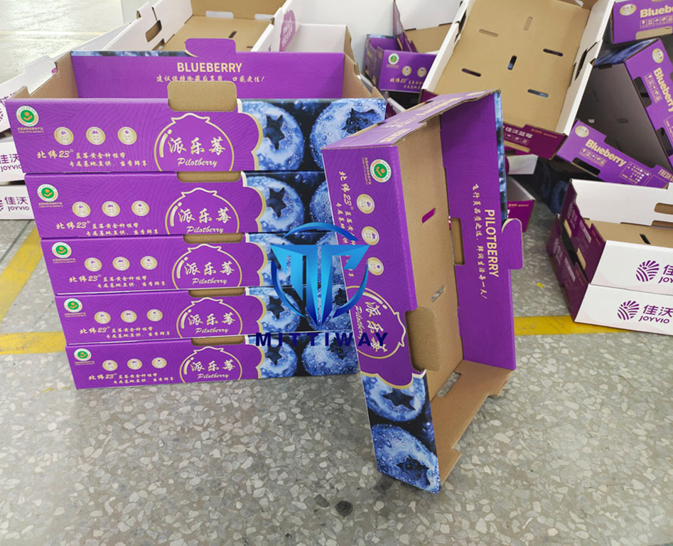 Fruit-box-folding-machine-1