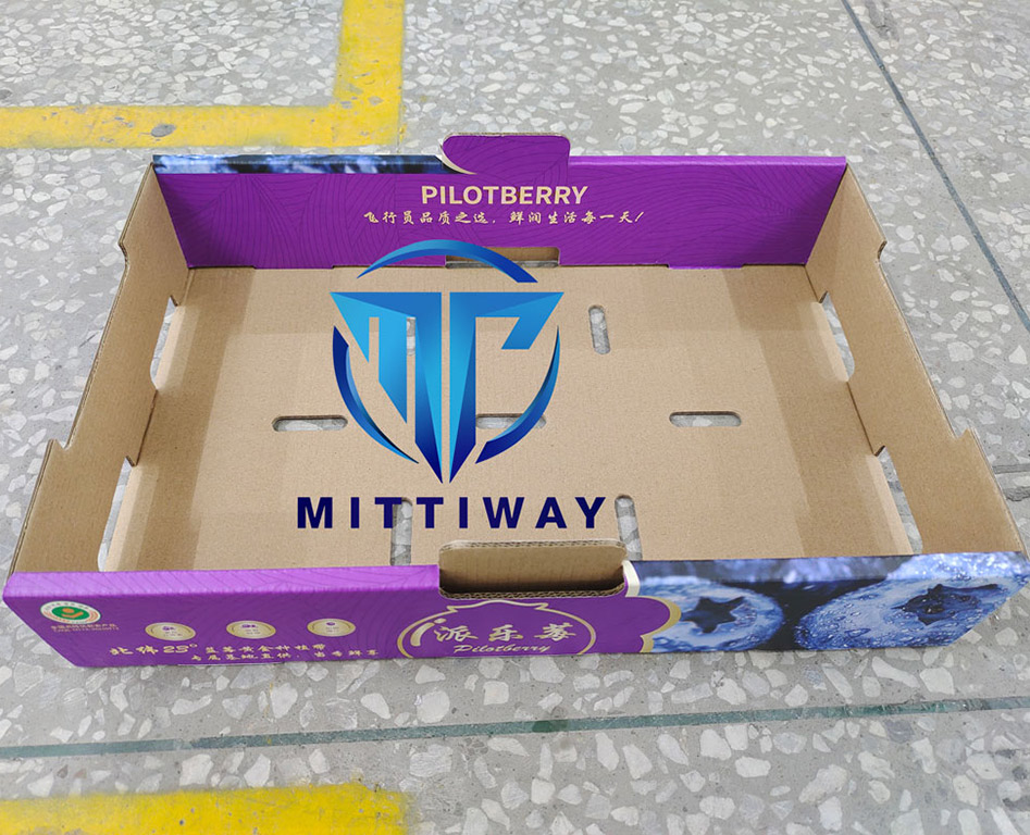 Fruit-box-folding-machine-2