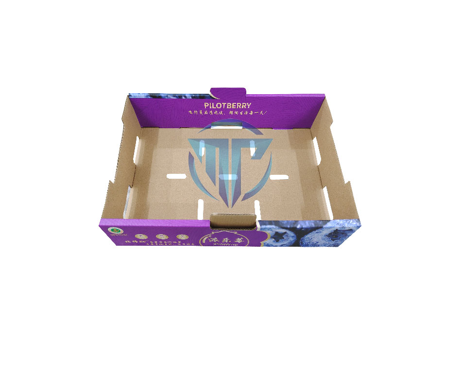 MTW-Z15 Fruit box folding machine Blueberry cherry box folding machine Tray former