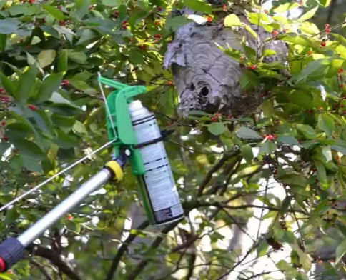 Wasp Spray Extension Pole - Revolutionise your pest control experience!