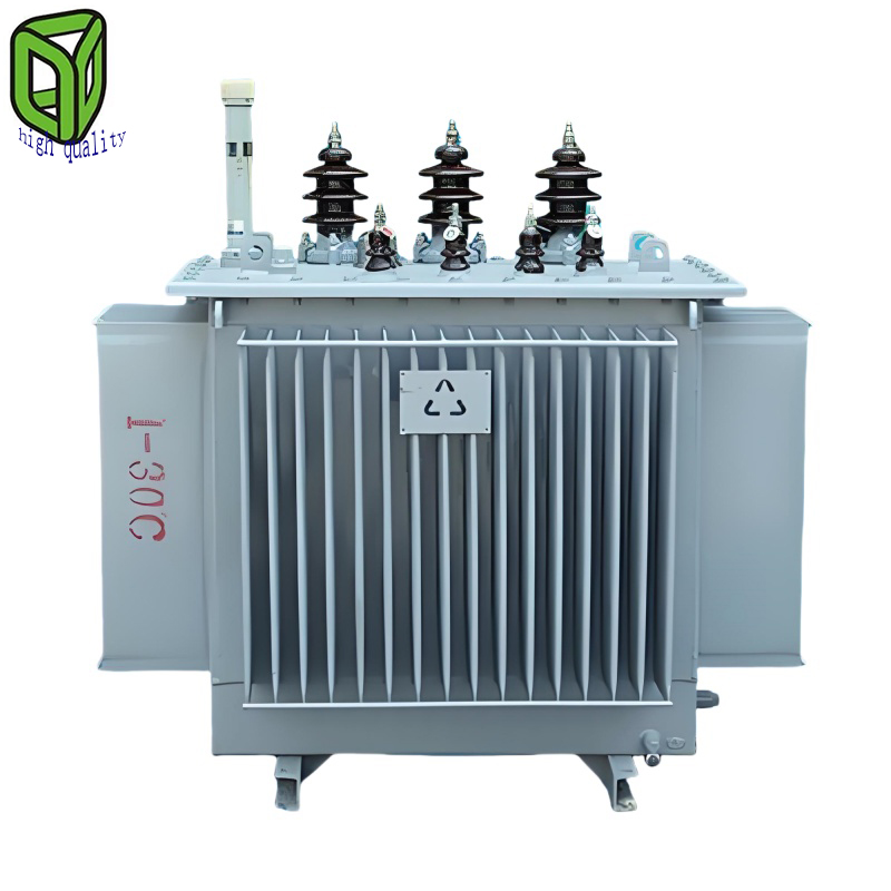 6-10kv Full Sealed Oil Immersed Power Distribution Transformer