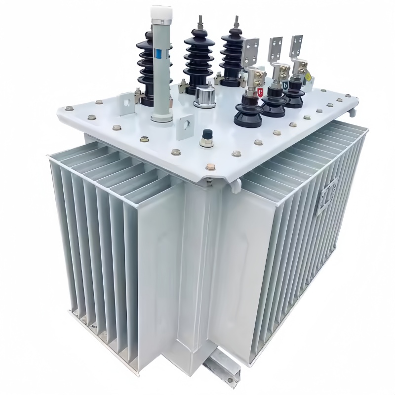 Reliable High-Performance Oil Immersed Transformers for Global Markets