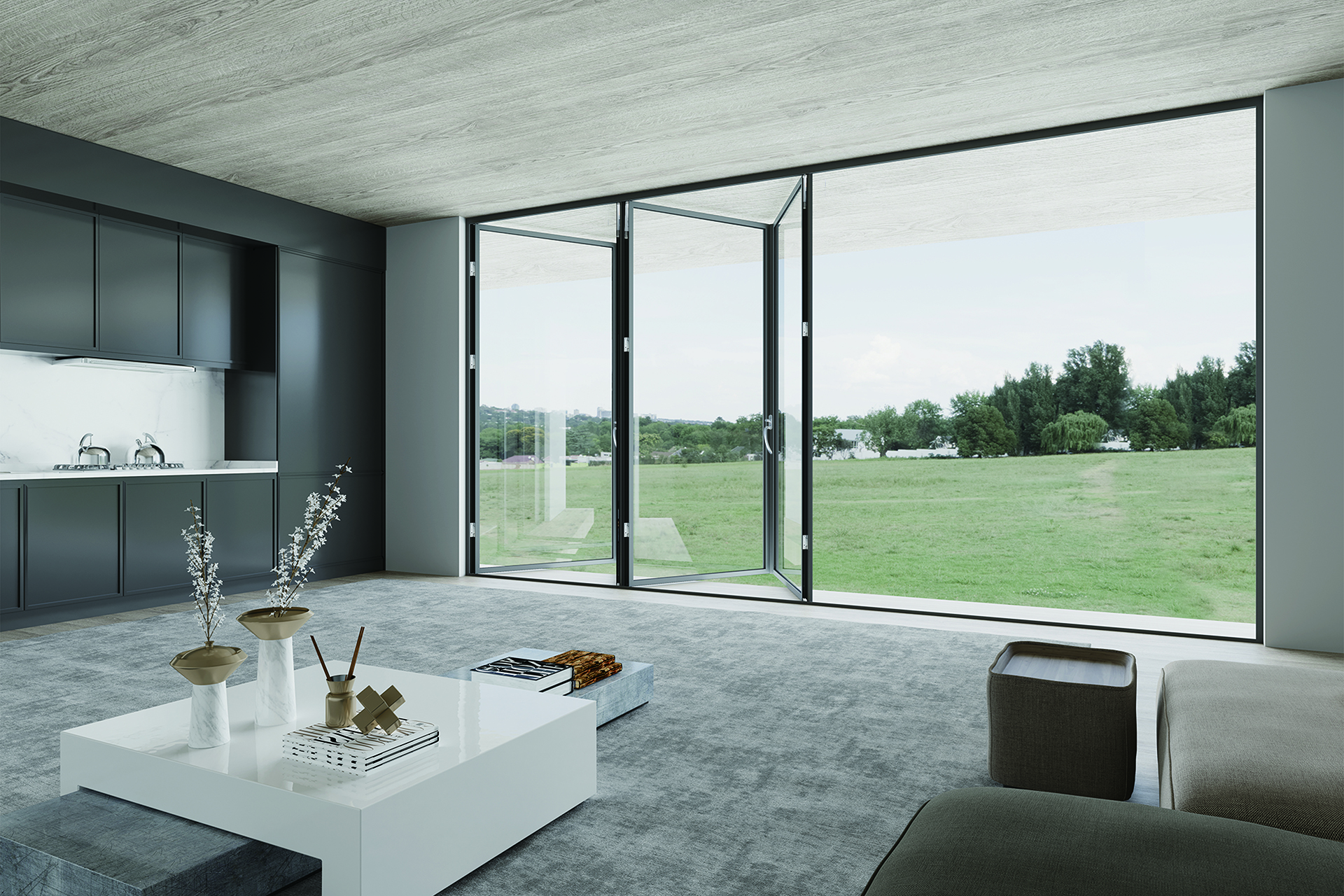 Aluminum Doors