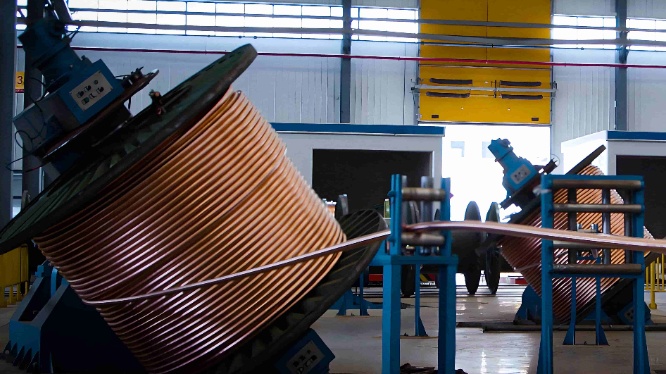 Bango03_compressed_cropped_resizedmfz