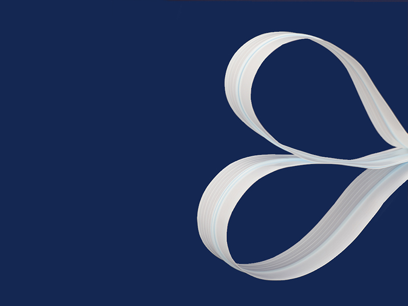 single bone biodegradable zipper