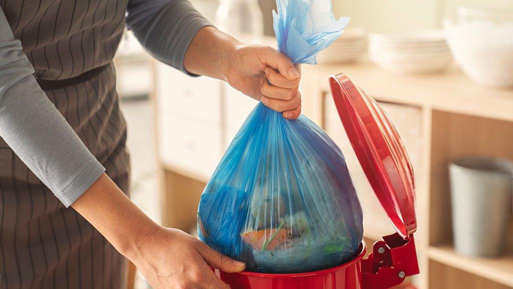 istockphoto-2209621457-1024x1024