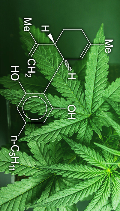Une entreprise pionnière dans le stockage et le conditionnement du cannabis...