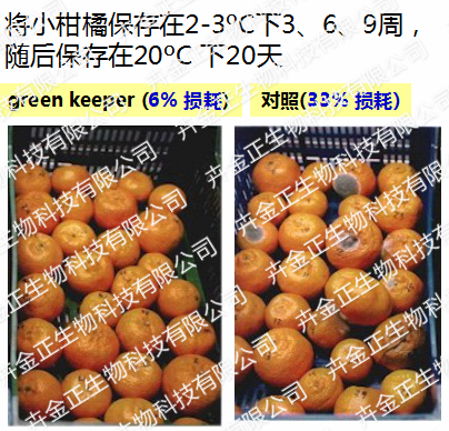 新型柑橘保鲜剂“green keeper”采后保鲜应用效果