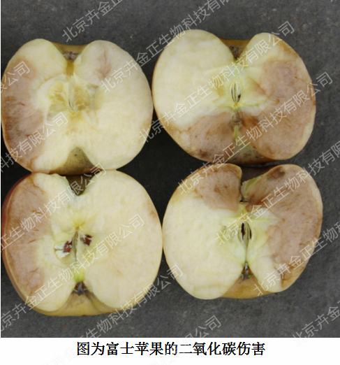 果蔬冷库环境气体成分的管控