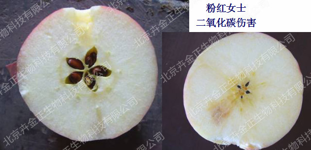 1505976032(1).png