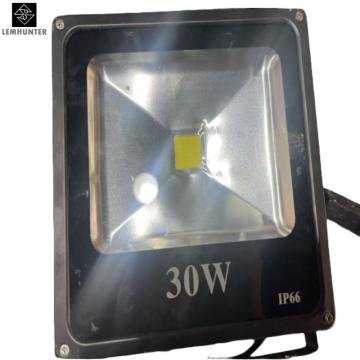 HAAS 110V30W LED Work Light
