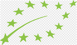 certificado1