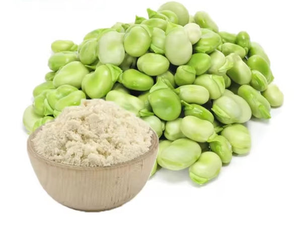 Proteína de habas