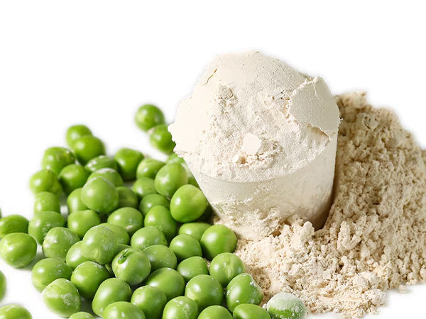 proteína de frijol mungo
