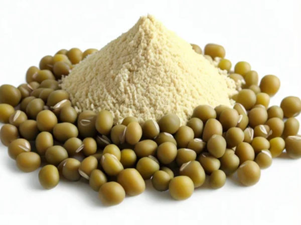 proteína de frijol mungo
