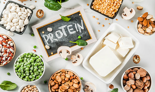 Other-Vegan-Proteins