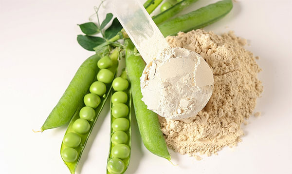 Pea-Protein
