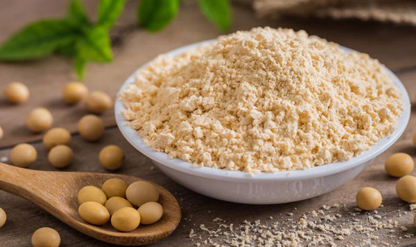 Soy-Protein