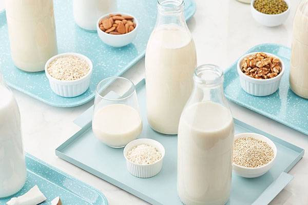 Plant-based Dairy Alternatives 2