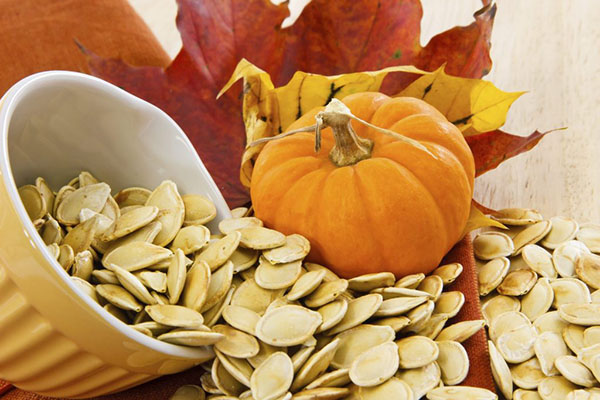 Our Pumpkin Seed Protein