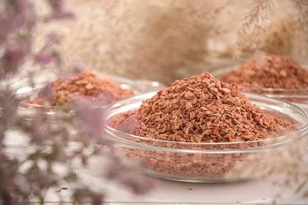Textured Soy Protein