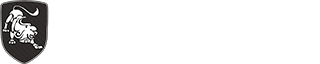 forthing-logo