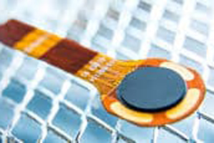 Fingerprint-recognition-button