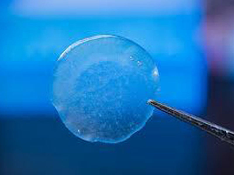 Innovative Casting Machine Technology Drives the Development of Biomedical Materials