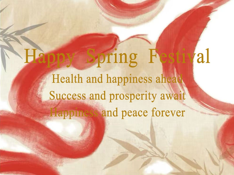 Spring Festival Holiday Notice